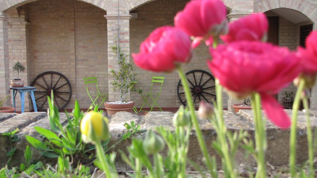 Bed And Breakfast Aratro & Rosmarino Civitanova Marche Zimmer foto