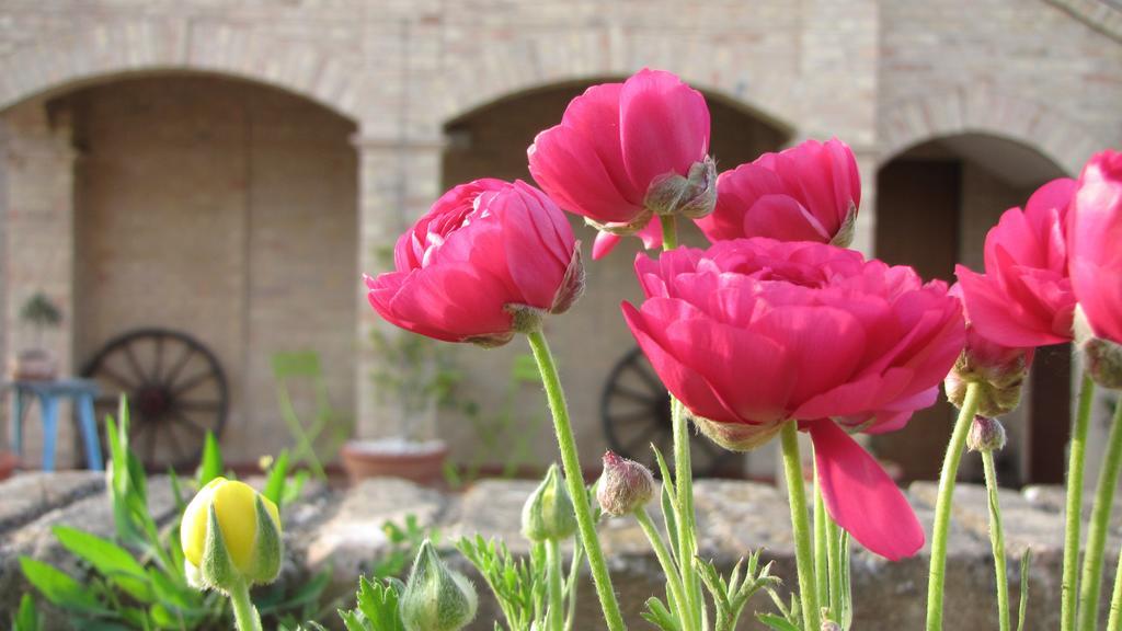 Bed And Breakfast Aratro & Rosmarino Civitanova Marche Zimmer foto
